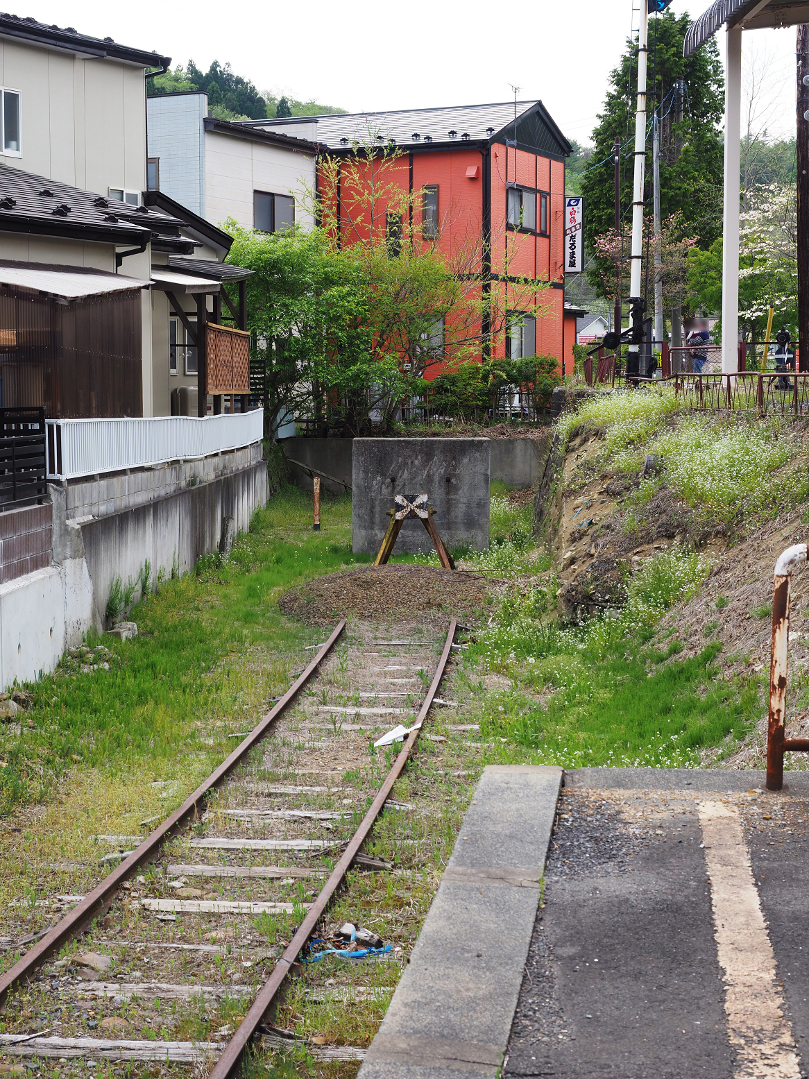 P5041939.jpg