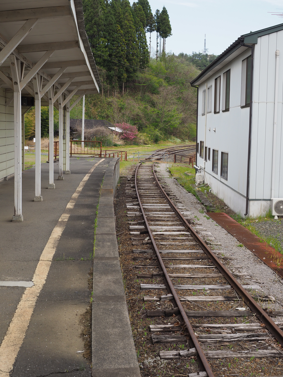 P5041940.jpg