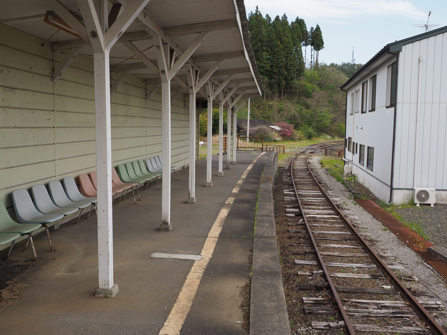 P5041941.jpg