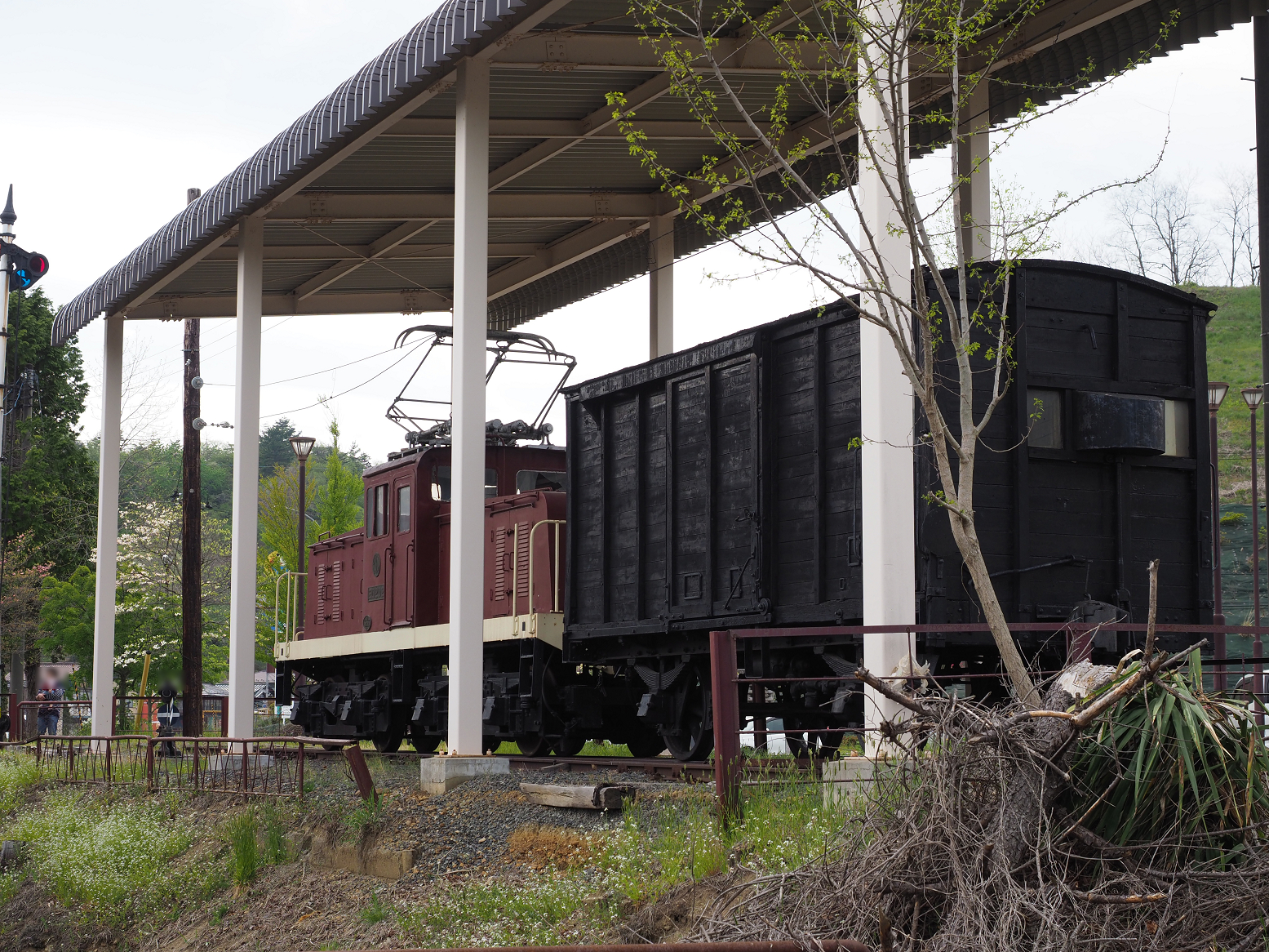 P5041942.jpg
