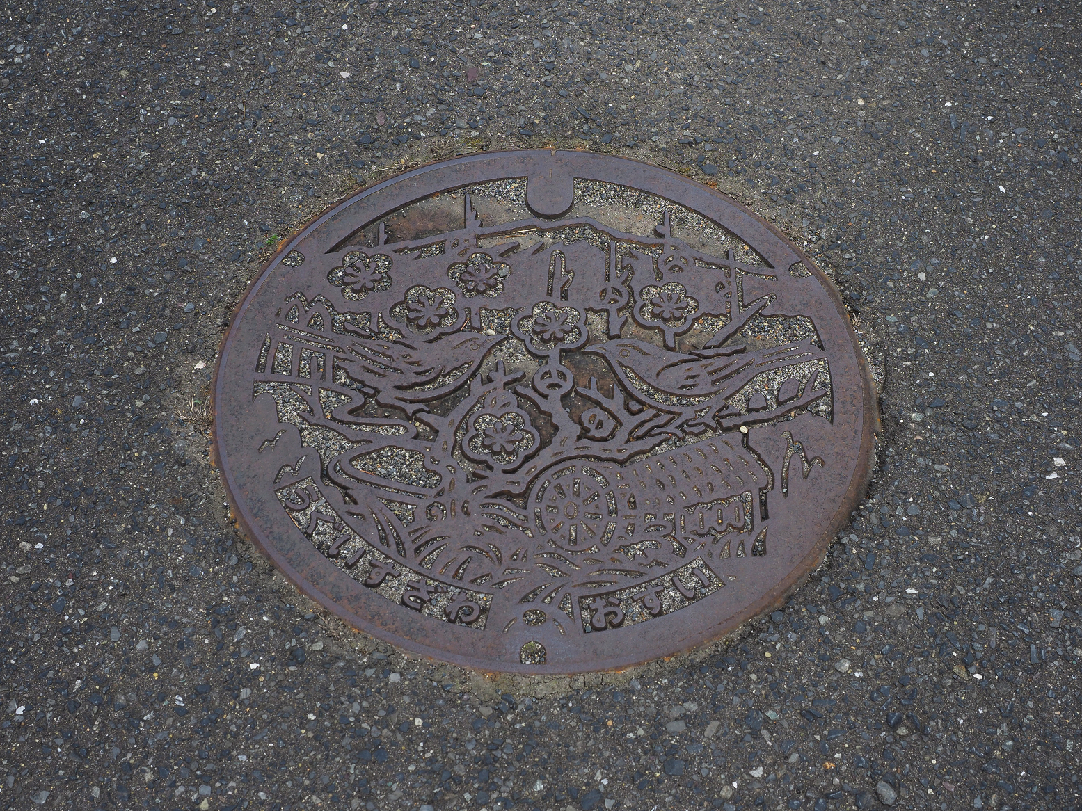 P5041947.jpg