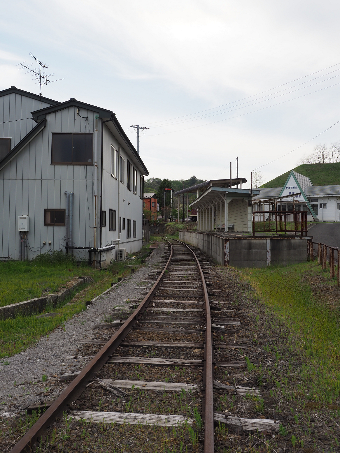 P5041949.jpg