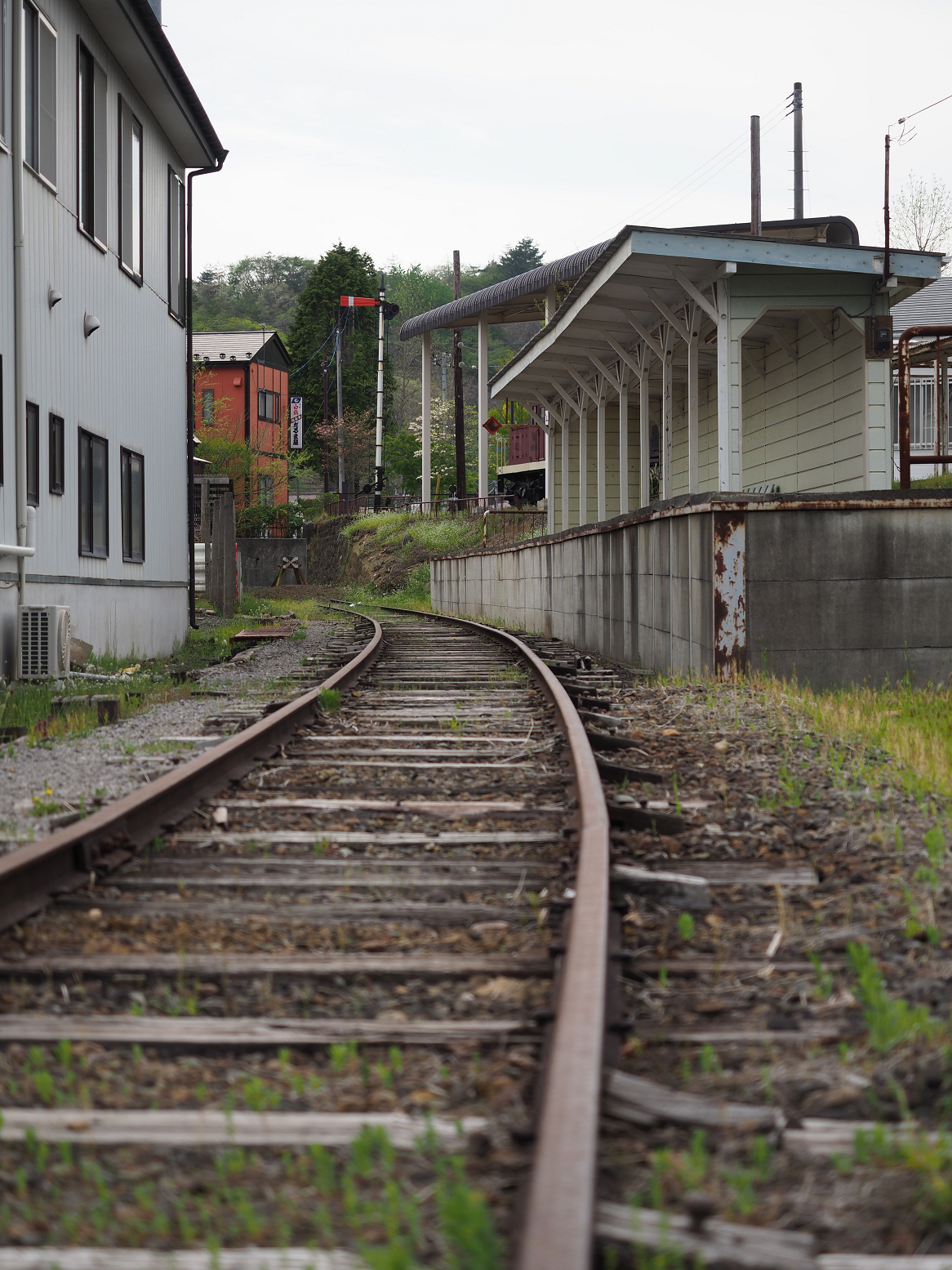 P5041954.jpg