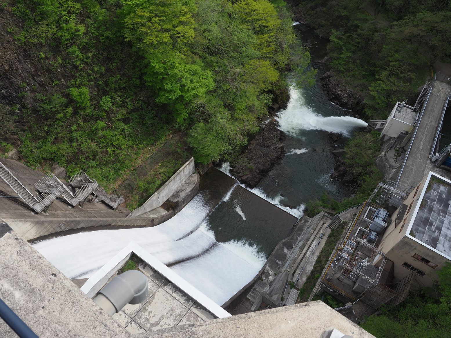 P5041961.jpg