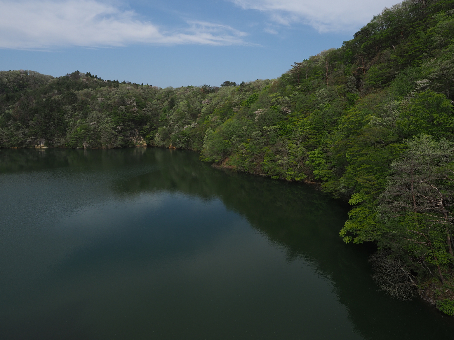 P5041963.jpg