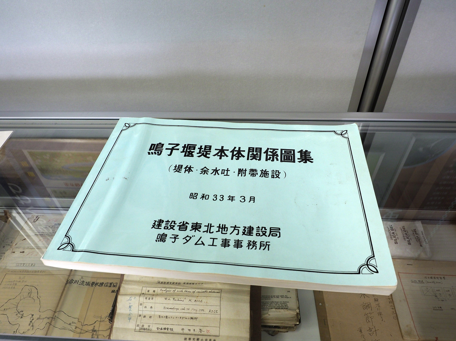 P5041991.jpg