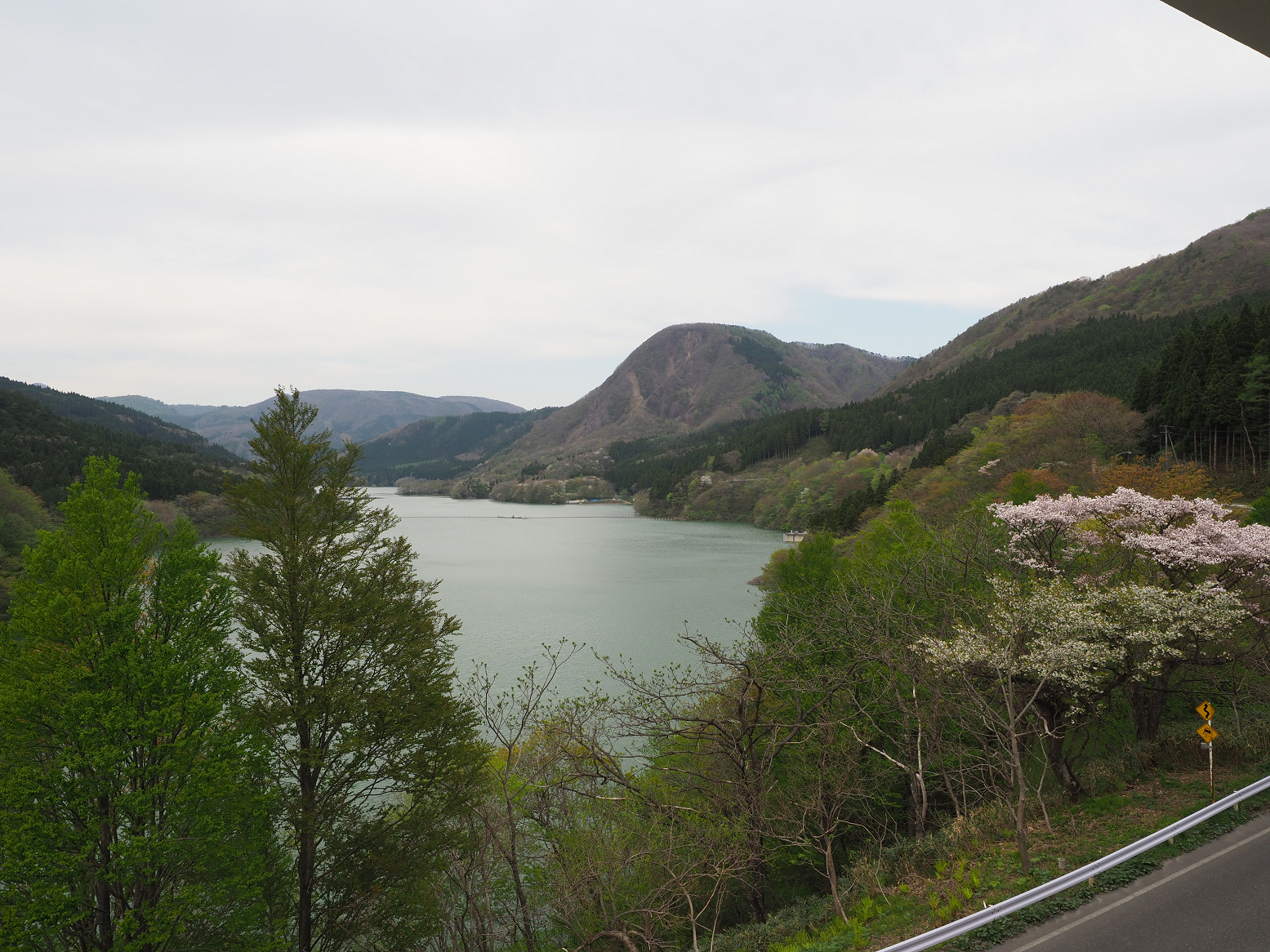 P5041996.jpg