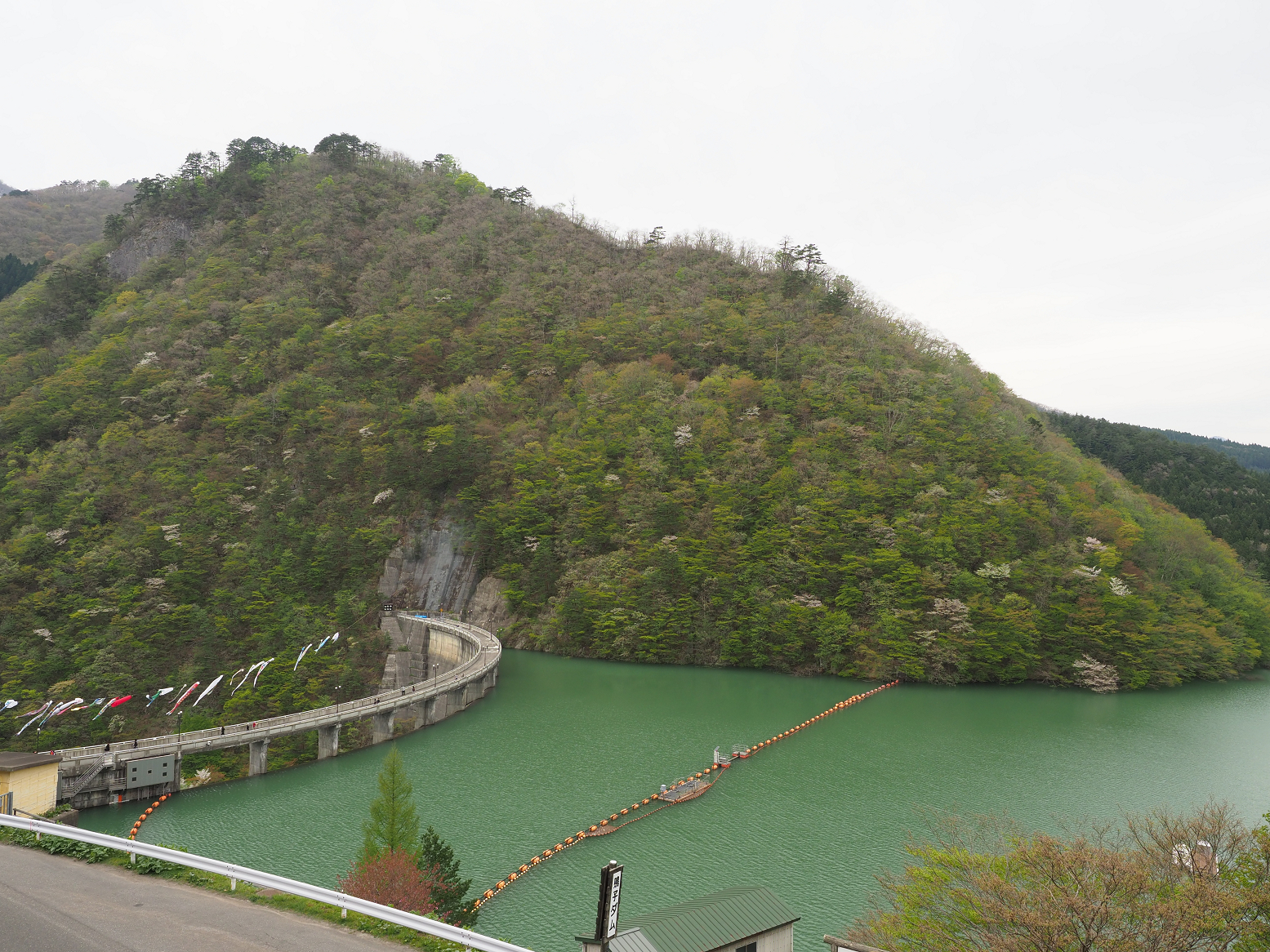 P5042000.jpg