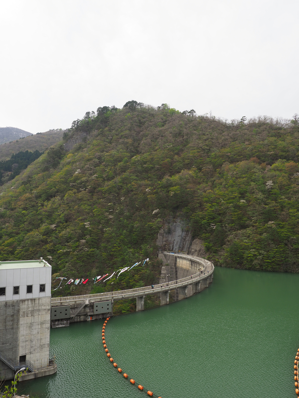 P5042013.jpg