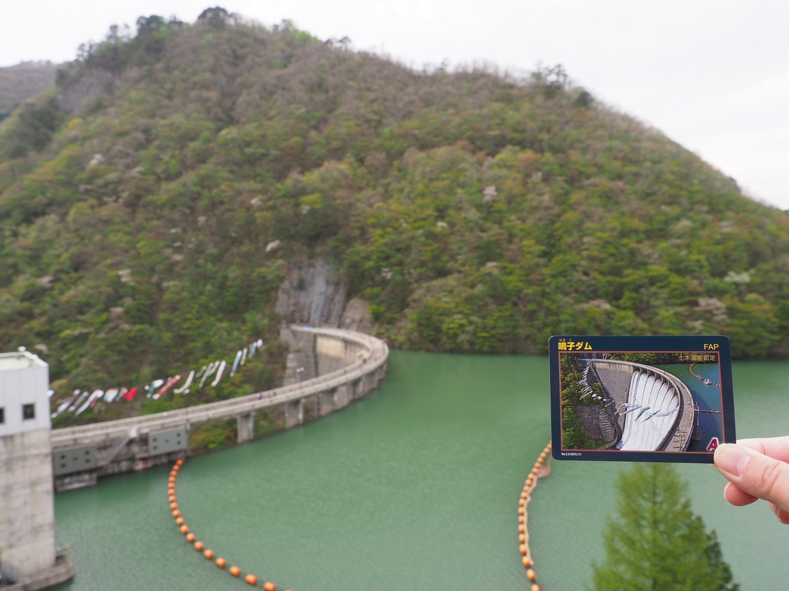 P5042014.jpg