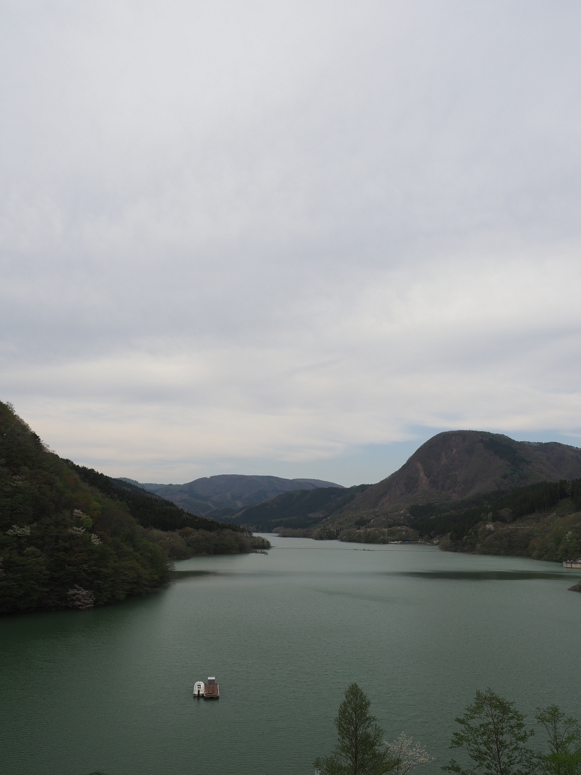P5042019.jpg