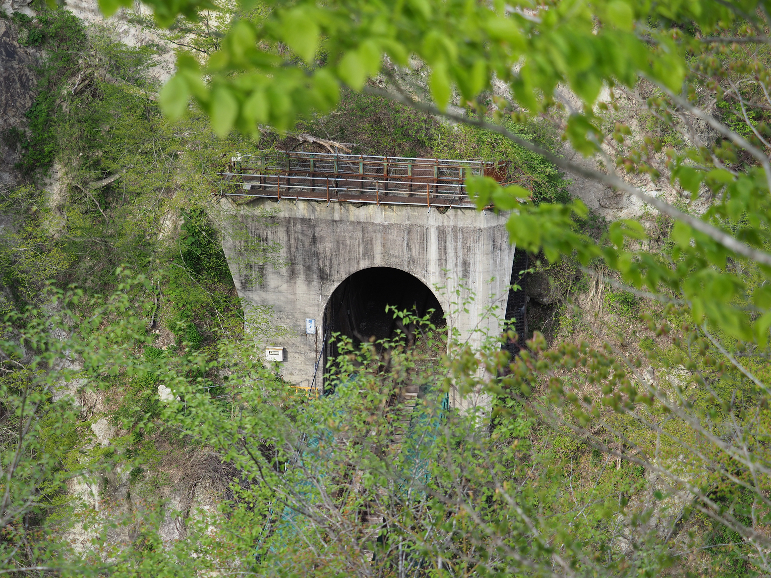 P5042026.jpg