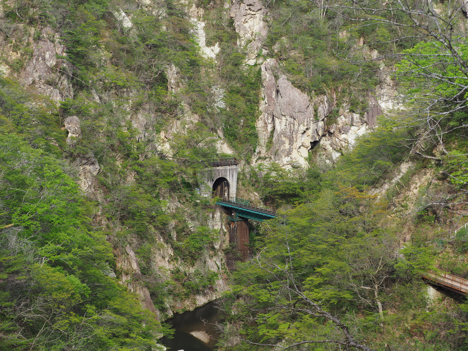 P5042031.jpg
