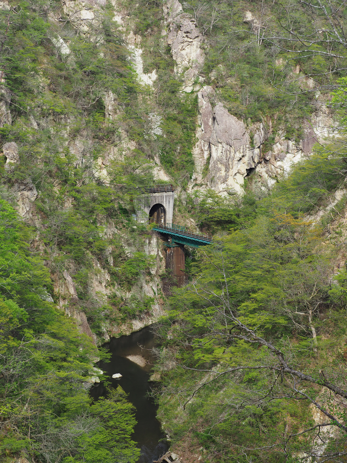 P5042032.jpg