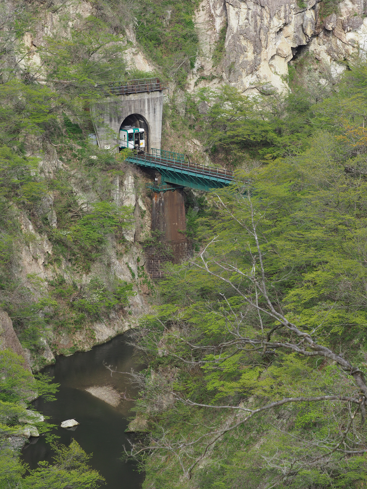 P5042037.jpg
