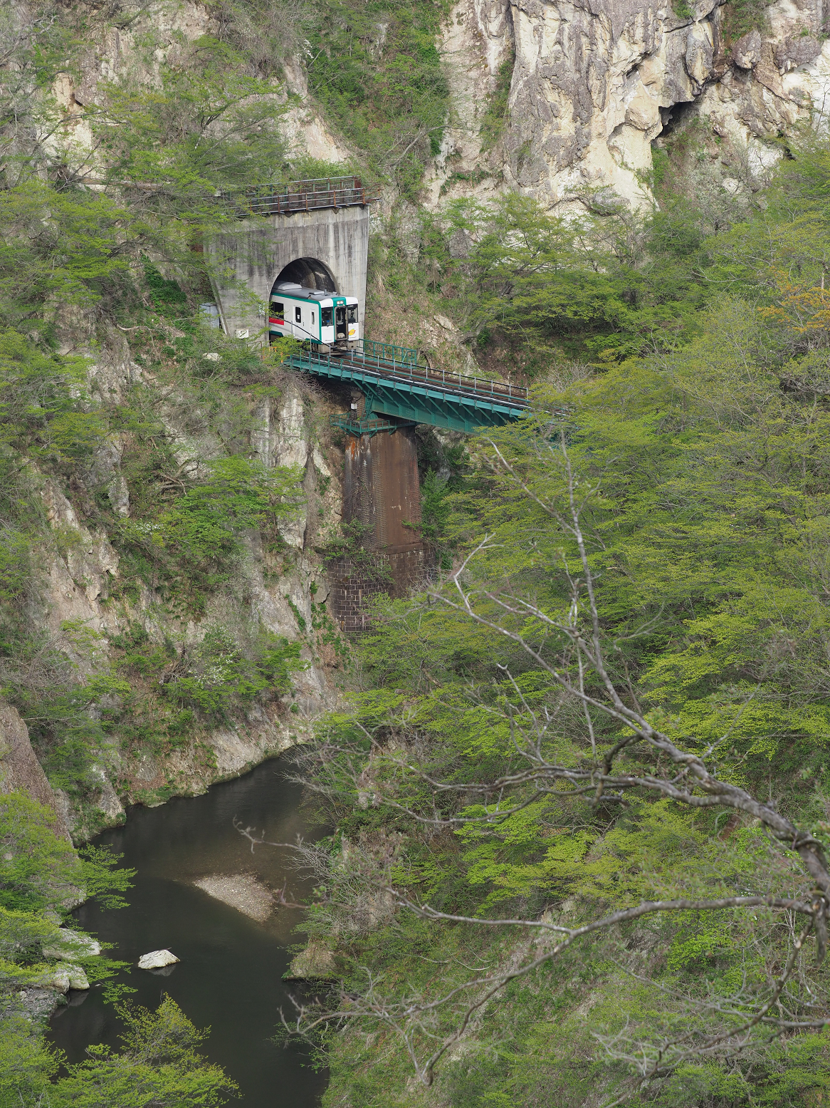 P5042041.jpg