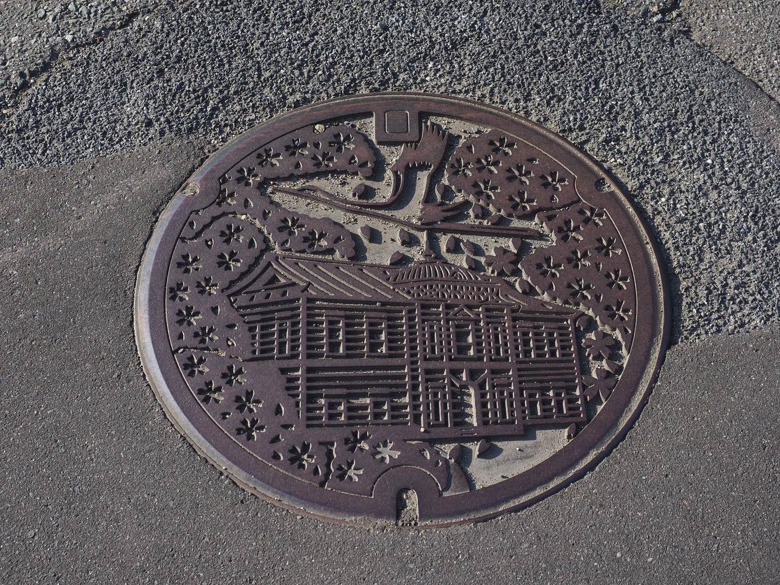 P5050001.jpg