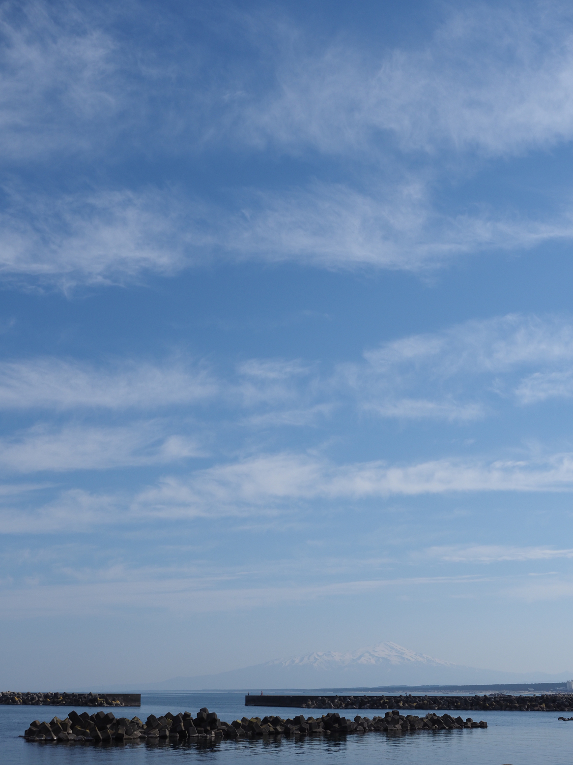 P5050009.jpg