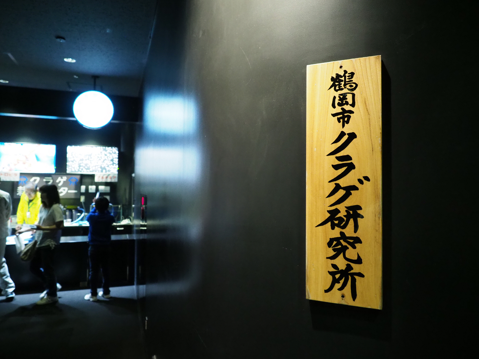 P5050070.jpg