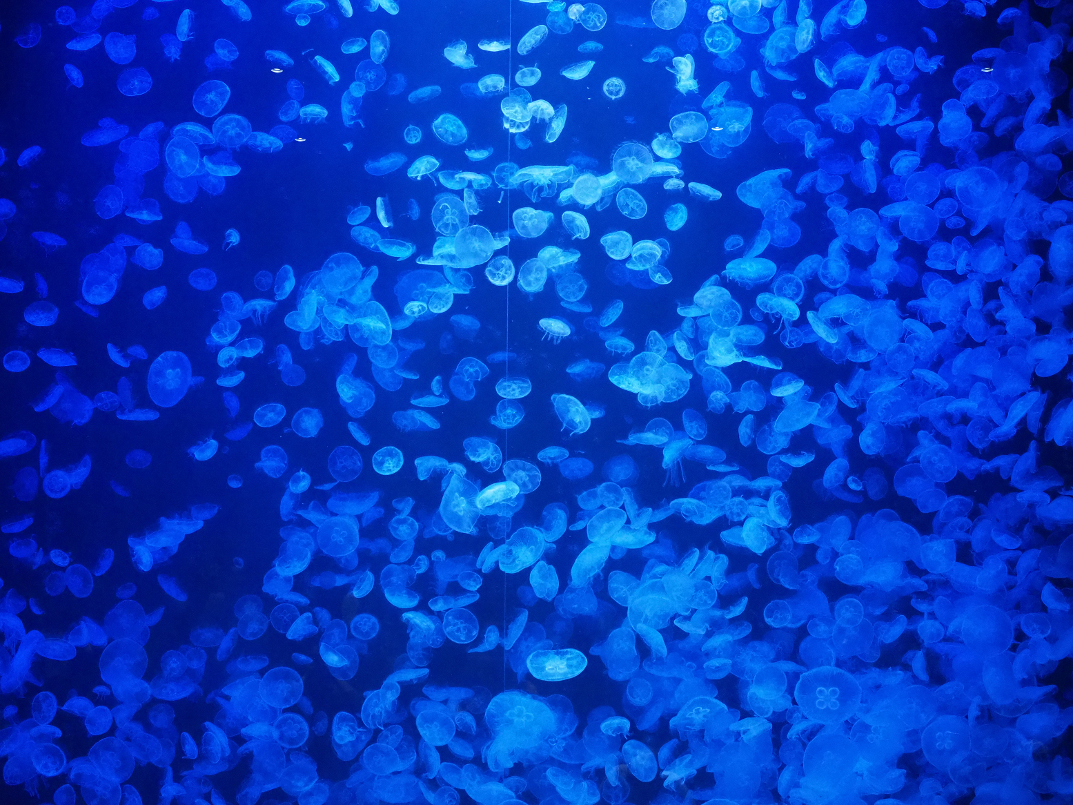 P5050117.jpg
