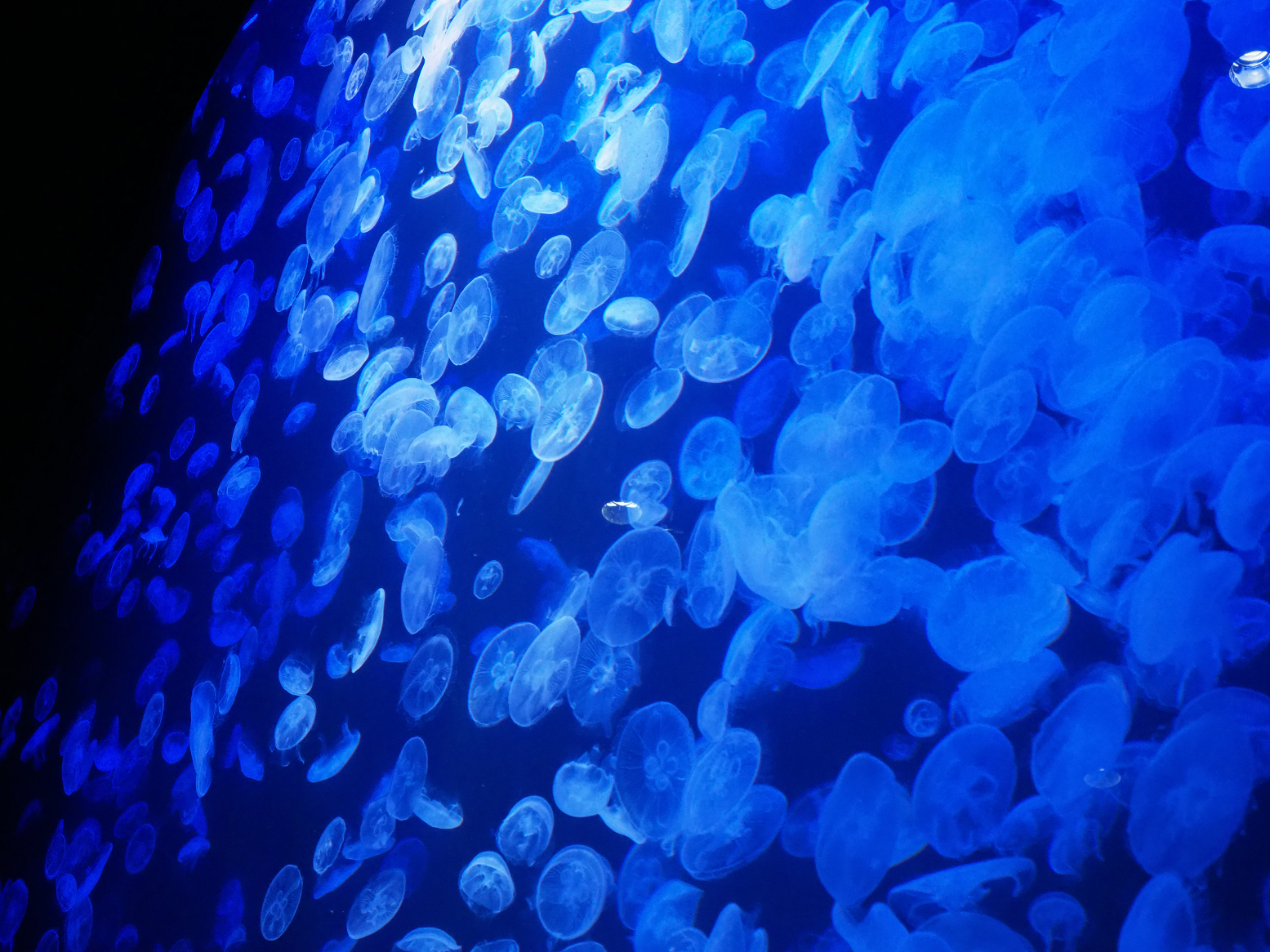 P5050123.jpg