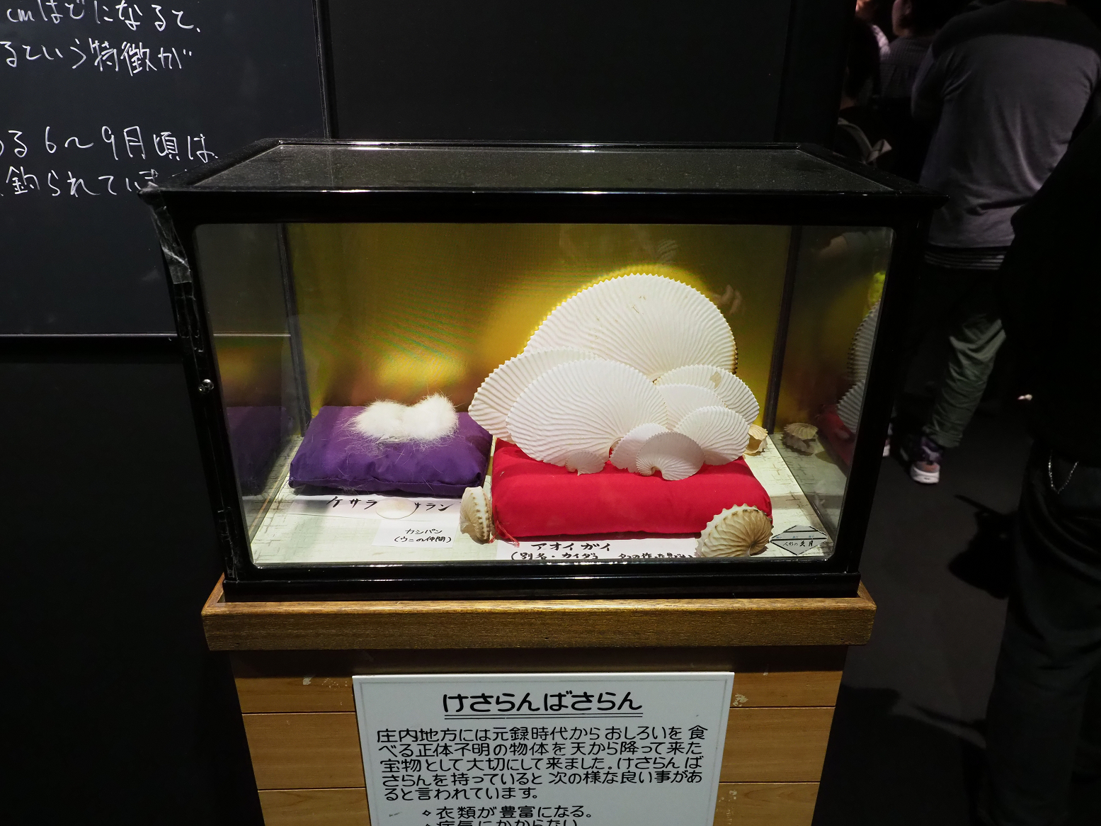 P5050159.jpg