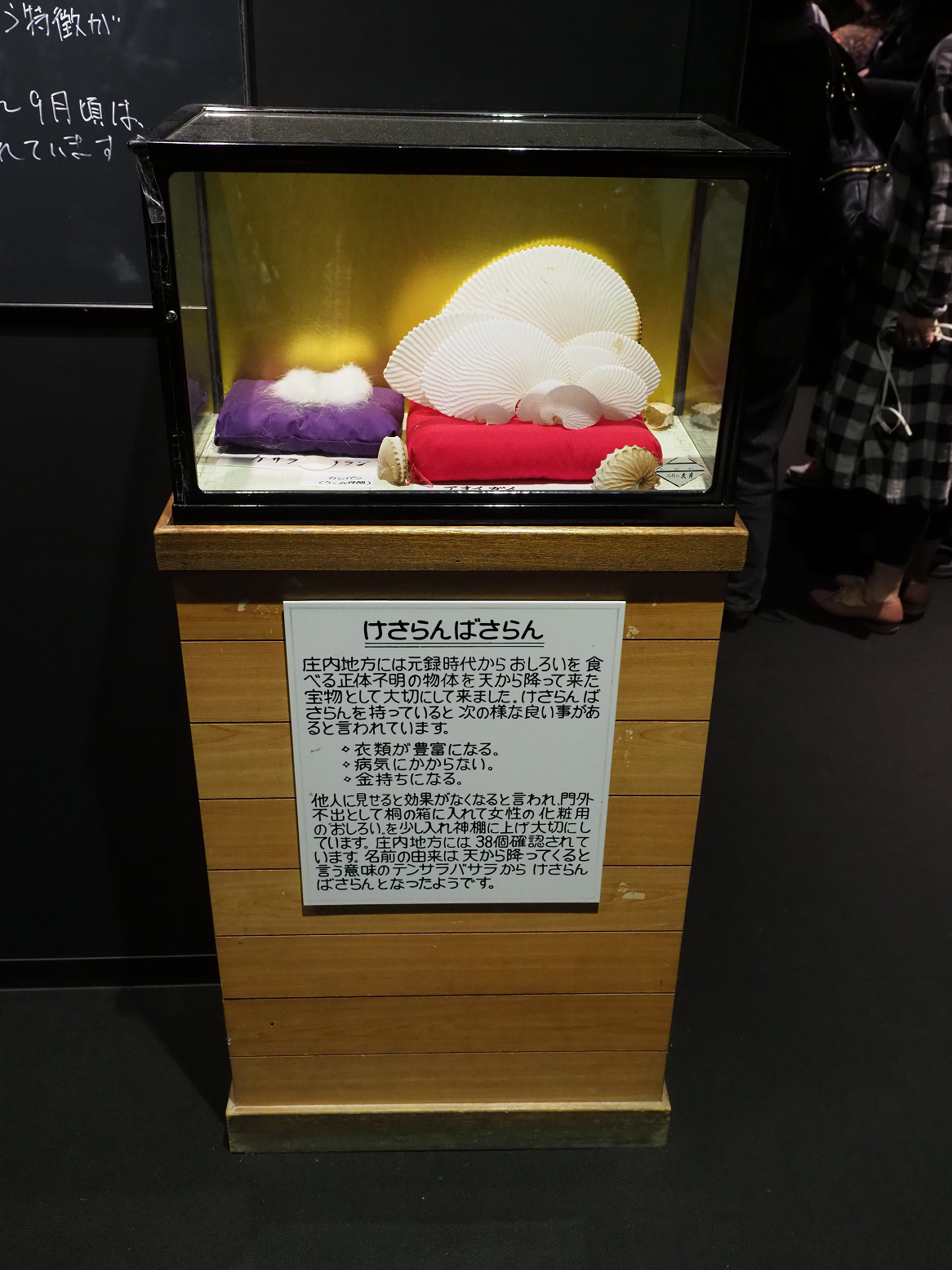 P5050161.jpg