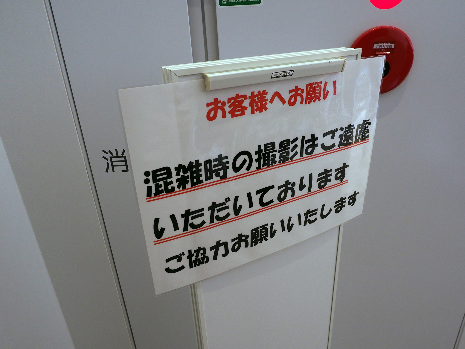 P5050166.jpg