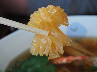 P5050176_thumb.png