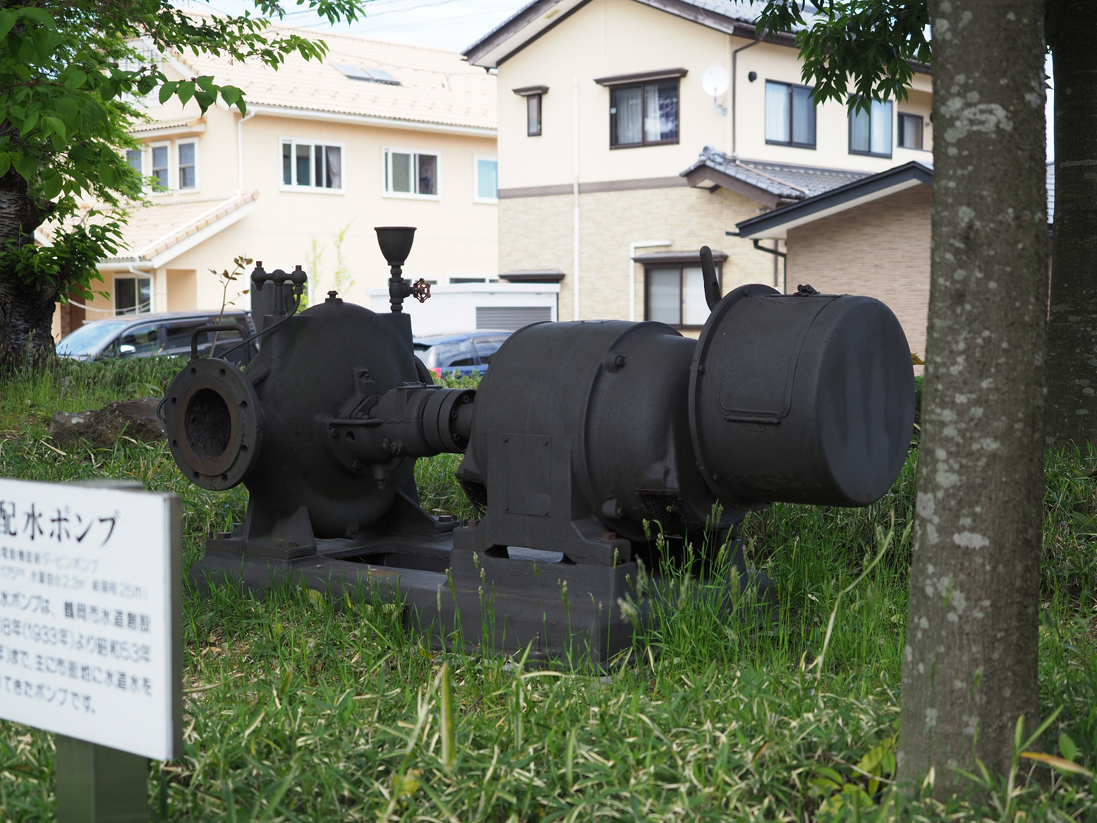 P5050229.jpg