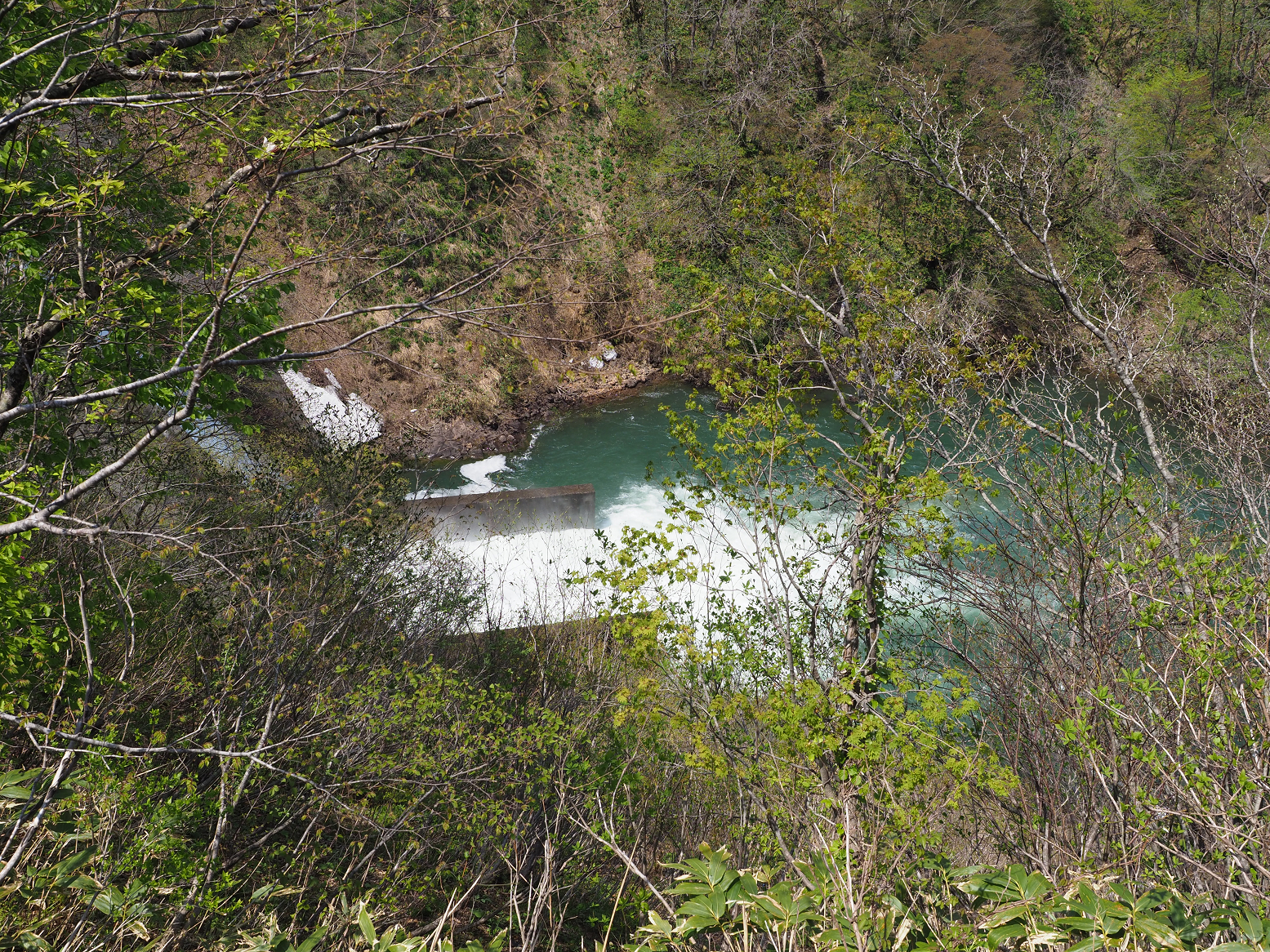 P5050249.jpg