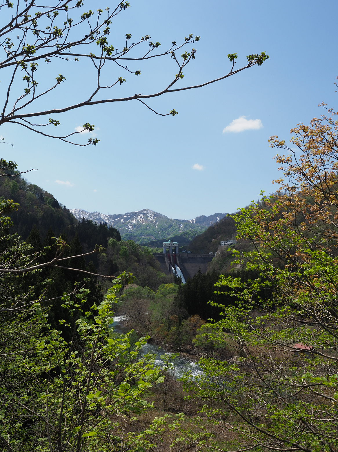 P5050255.jpg