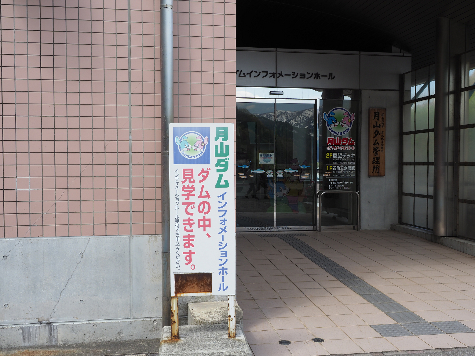 P5050262.jpg