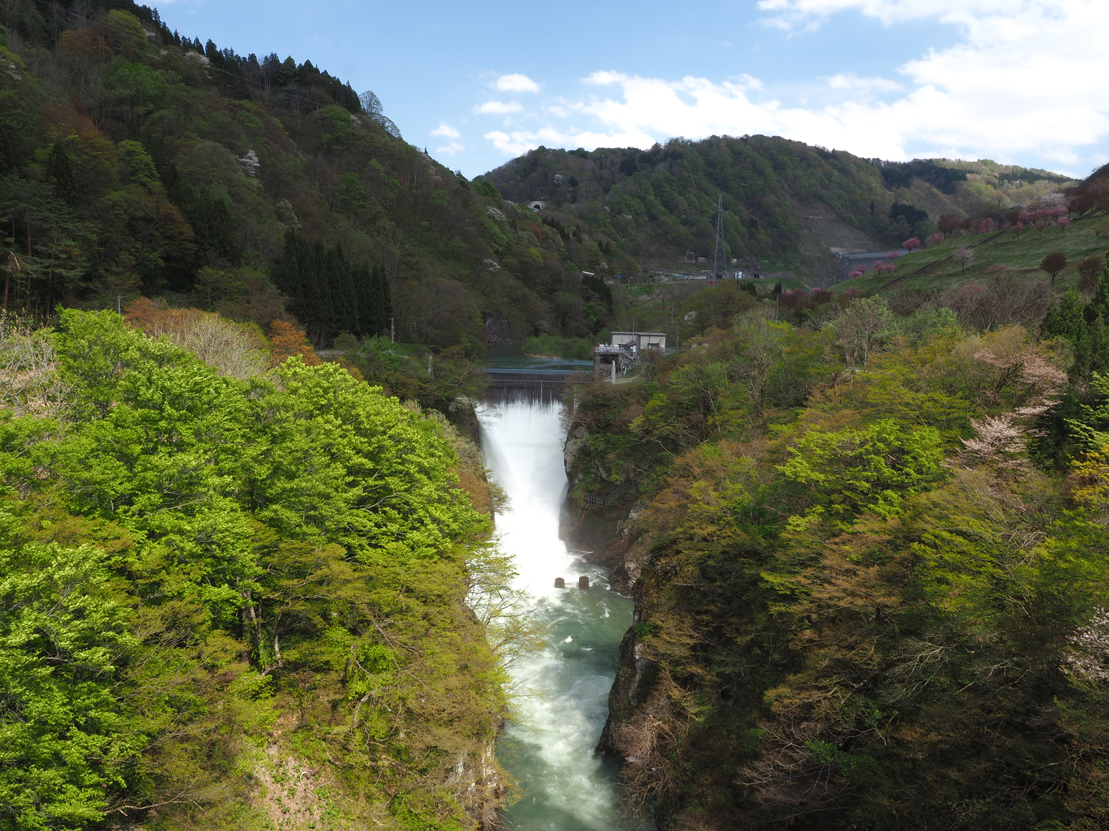 P5050302.jpg