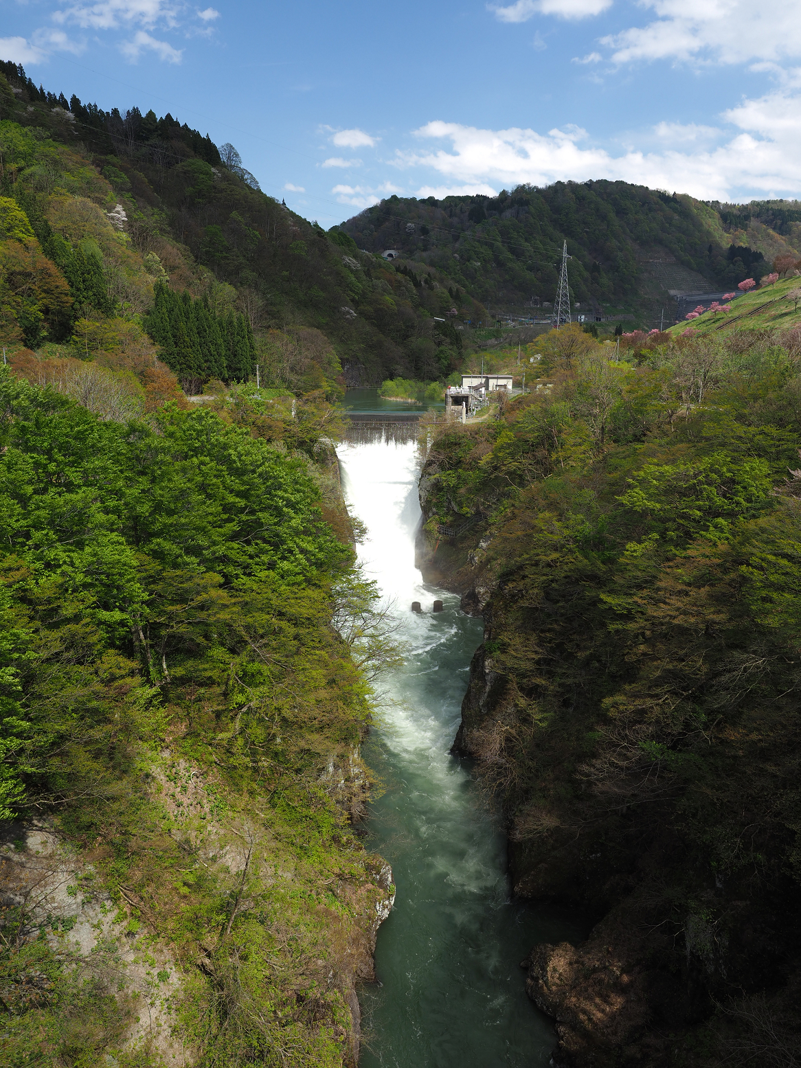 P5050304.jpg