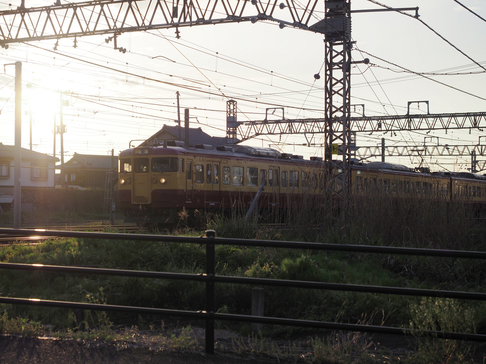 P5050345.jpg