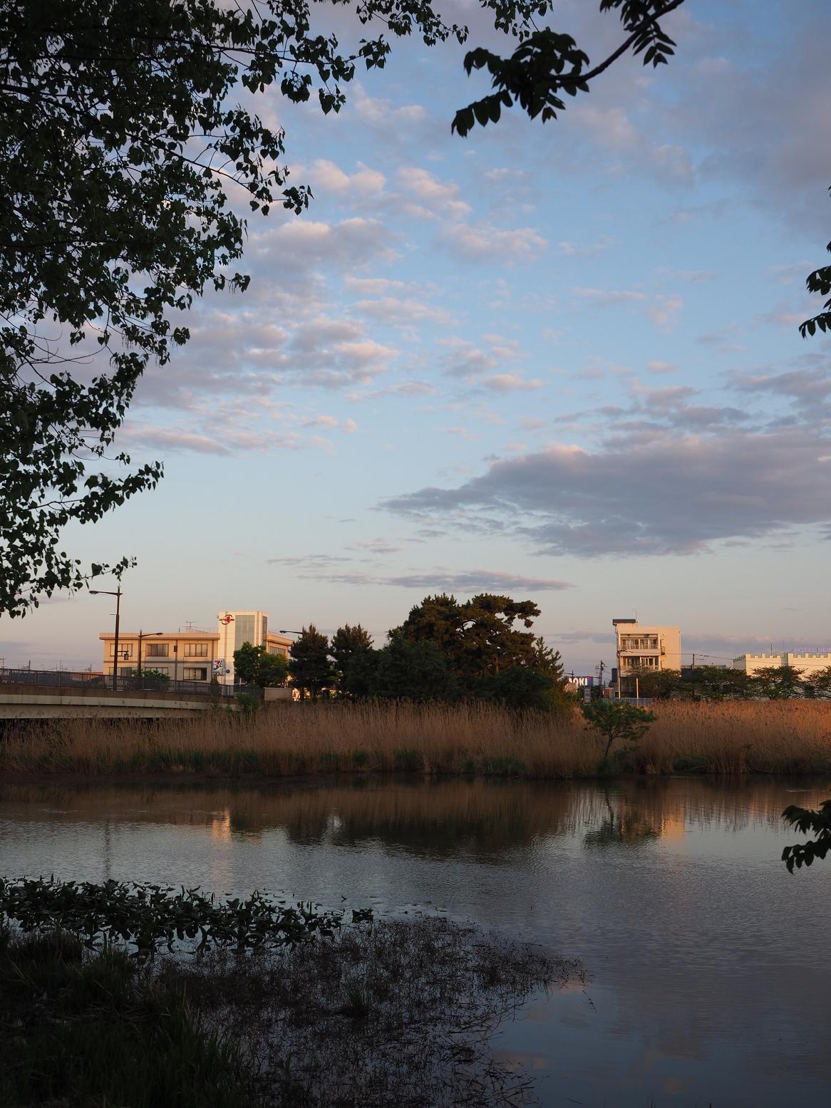 P5050349.jpg