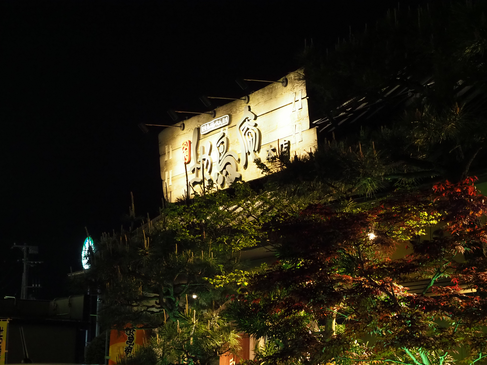 P5050366.jpg