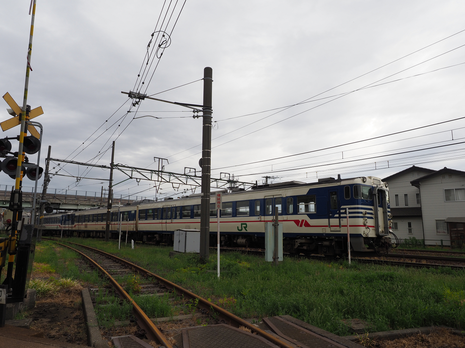 P5060599.jpg