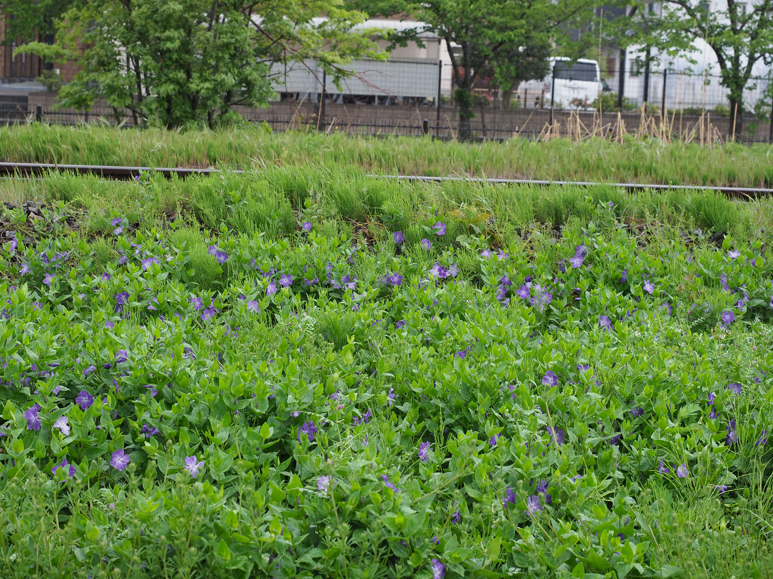 P5060733.jpg