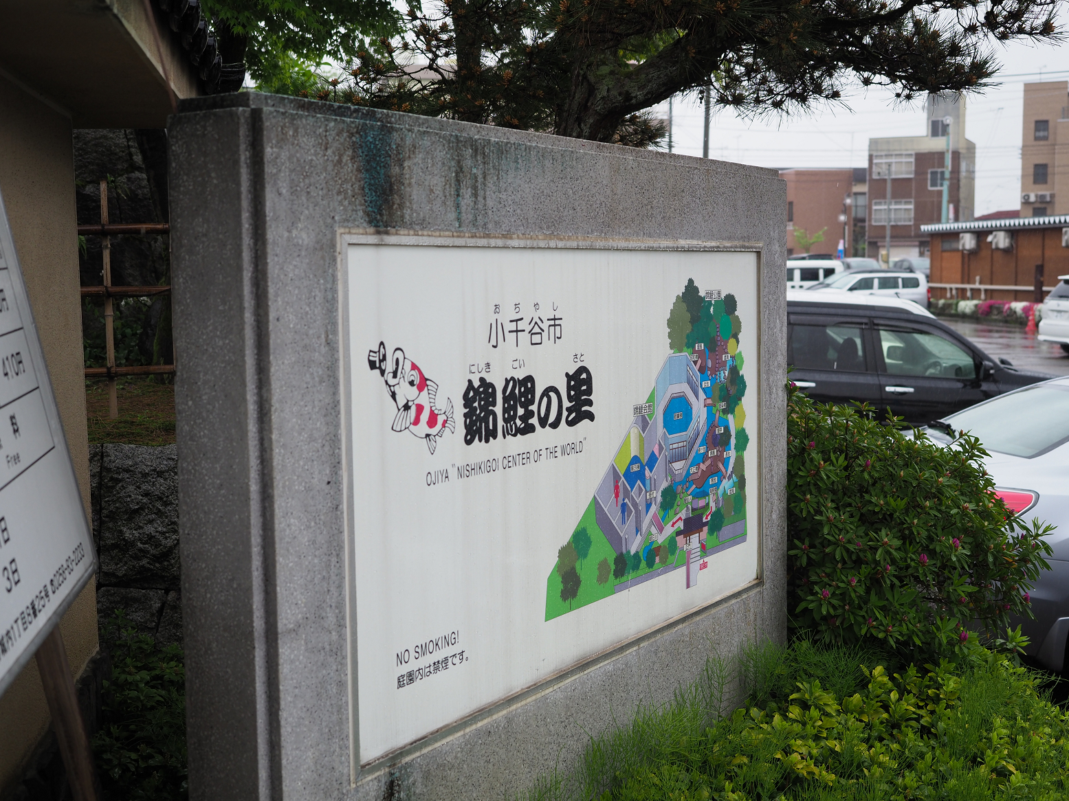 P5060783.jpg