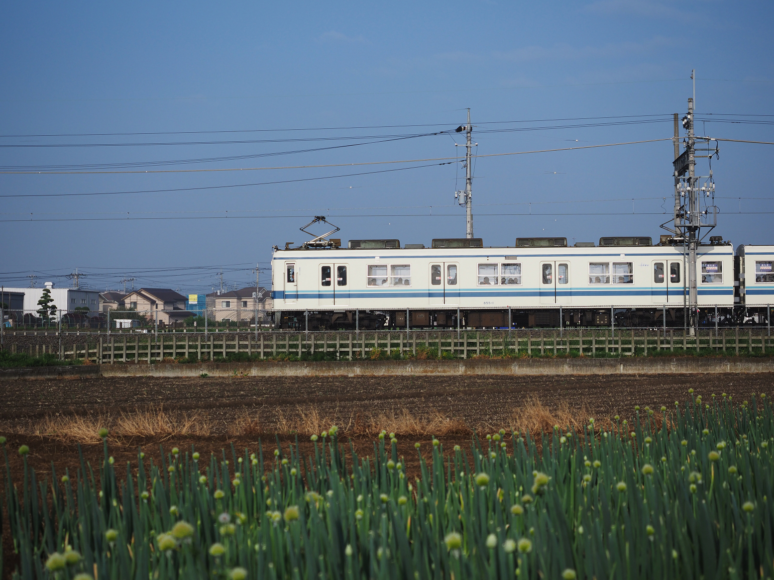 P5110007.jpg