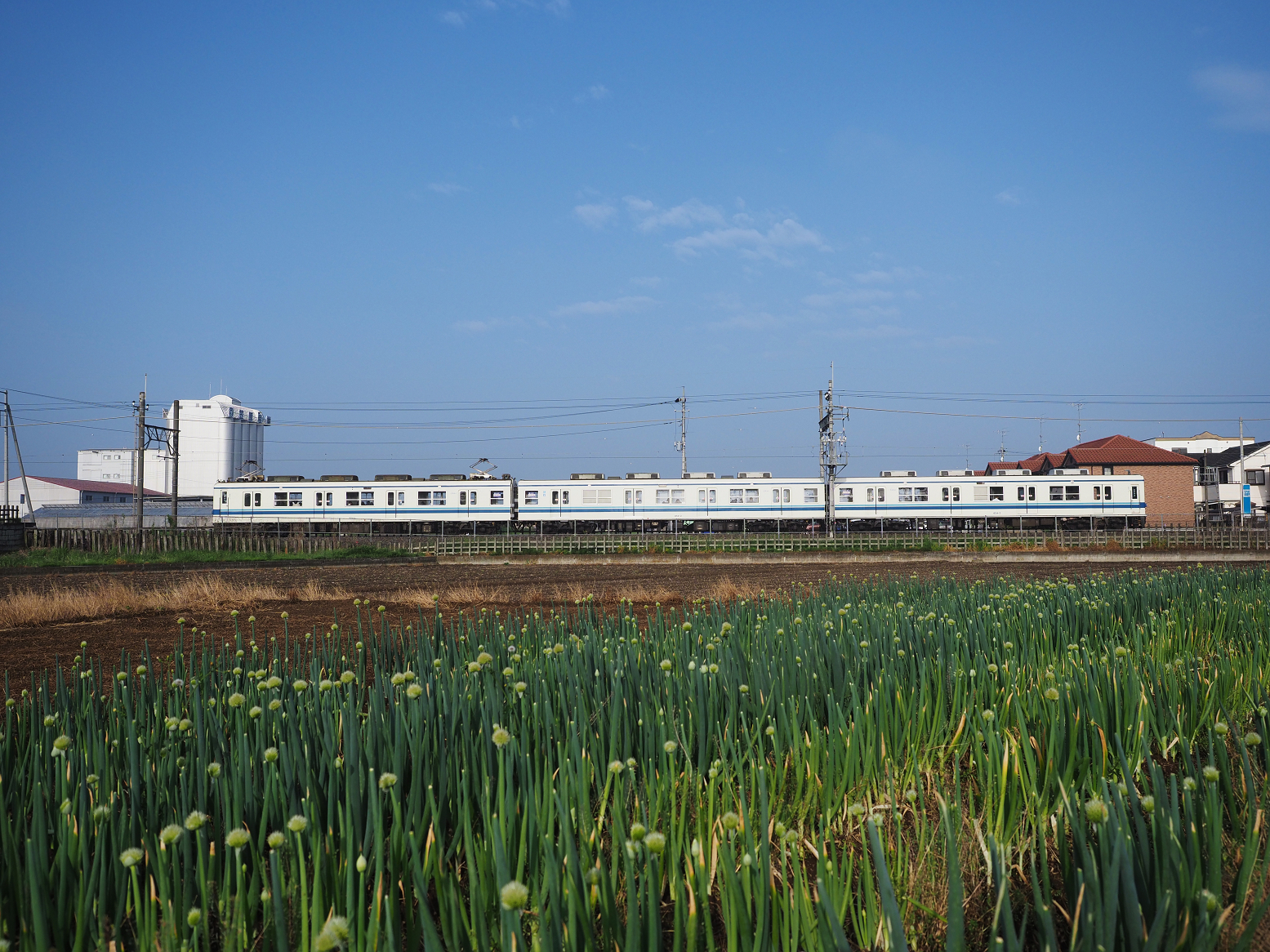 P5110020.jpg