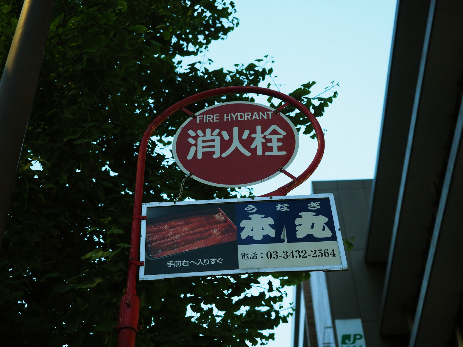 P5110078.jpg