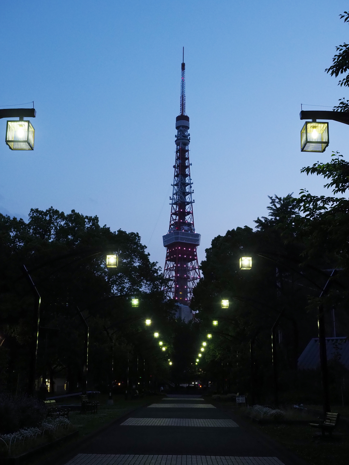 P5110089.jpg