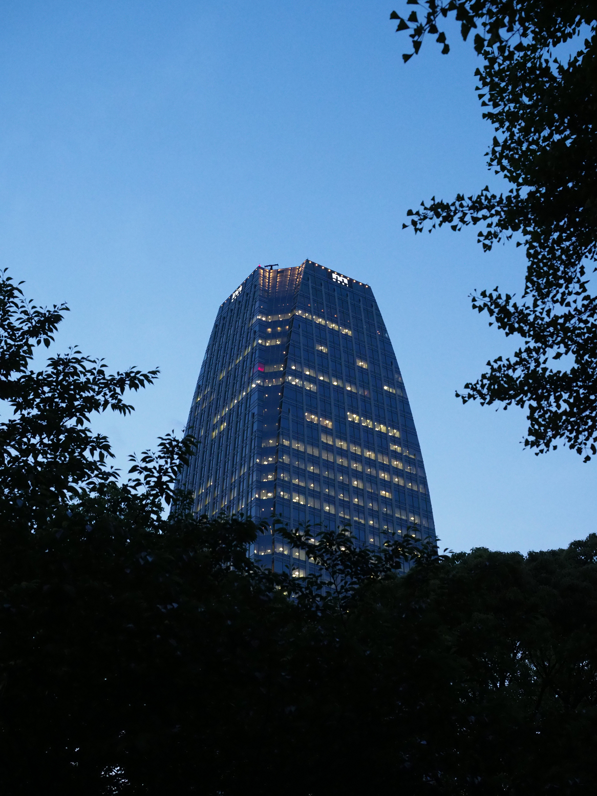 P5110091.jpg