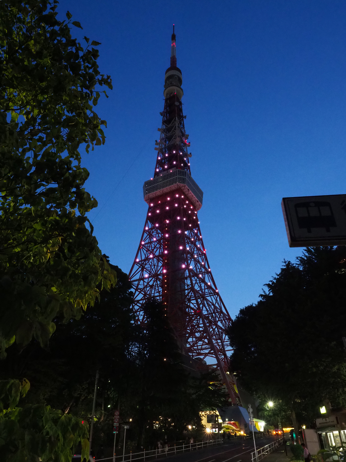 P5110099.jpg