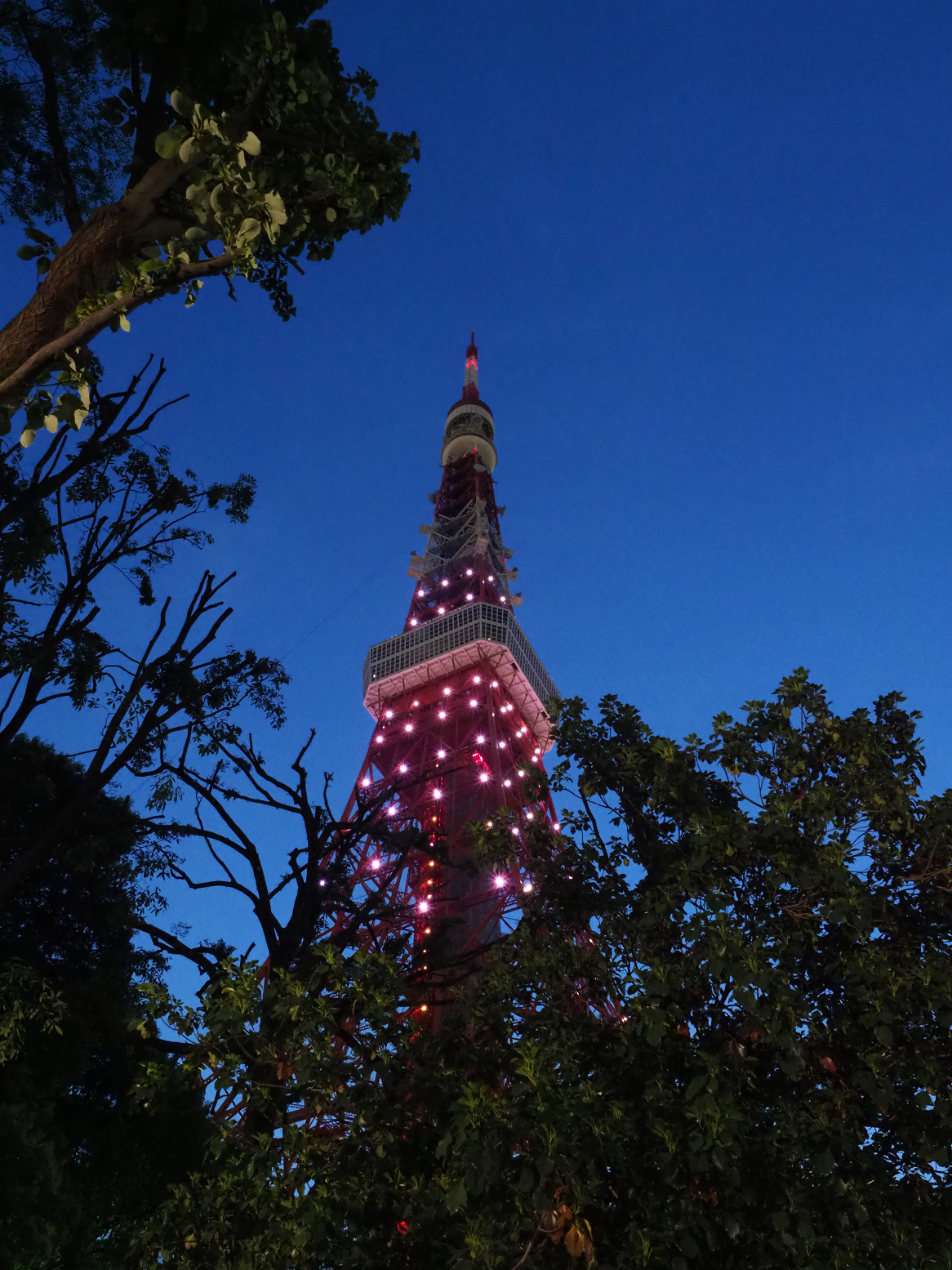 P5110102.jpg