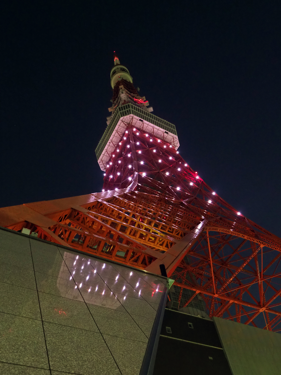 P5110129.jpg