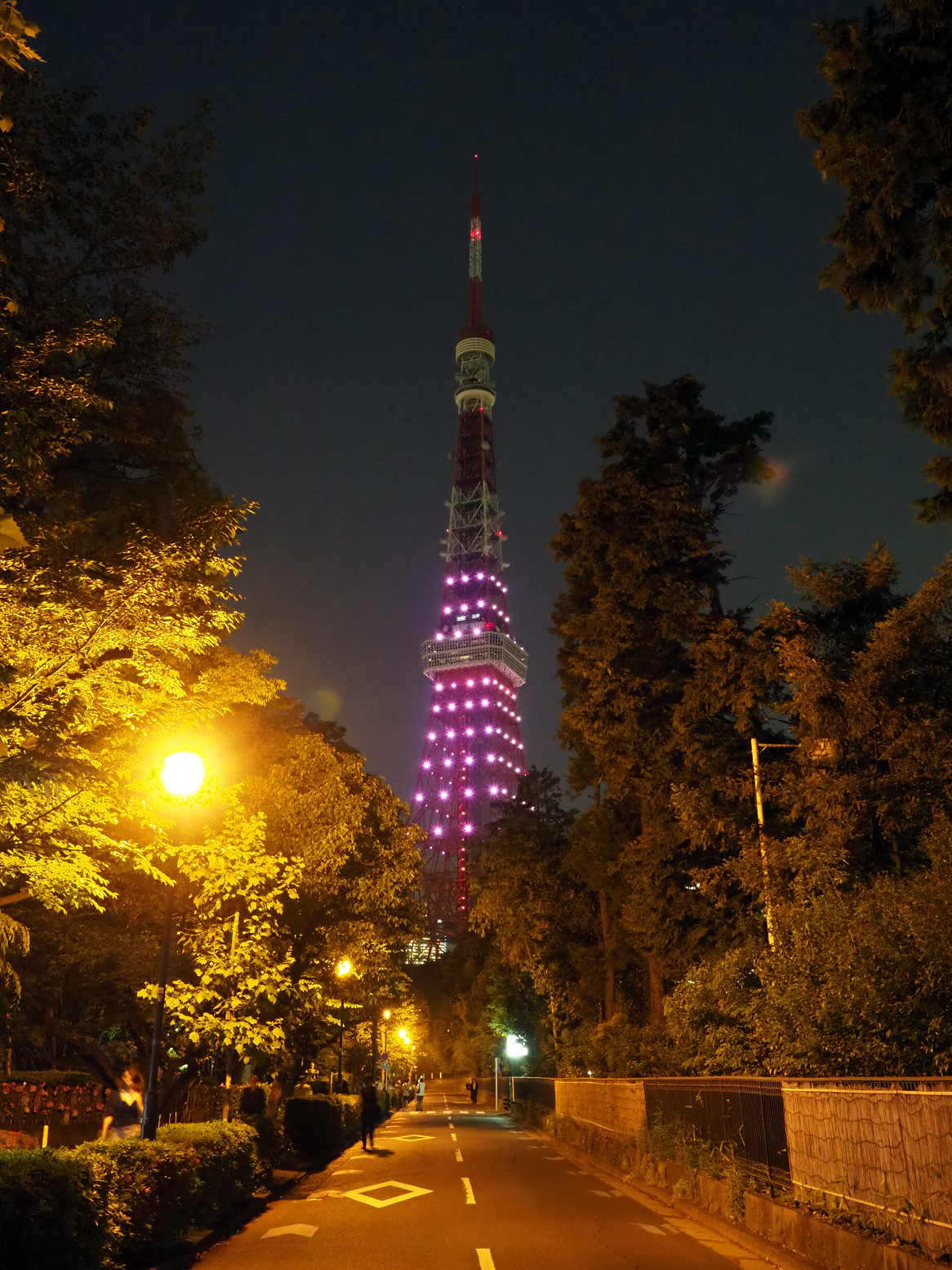 P5110132.jpg